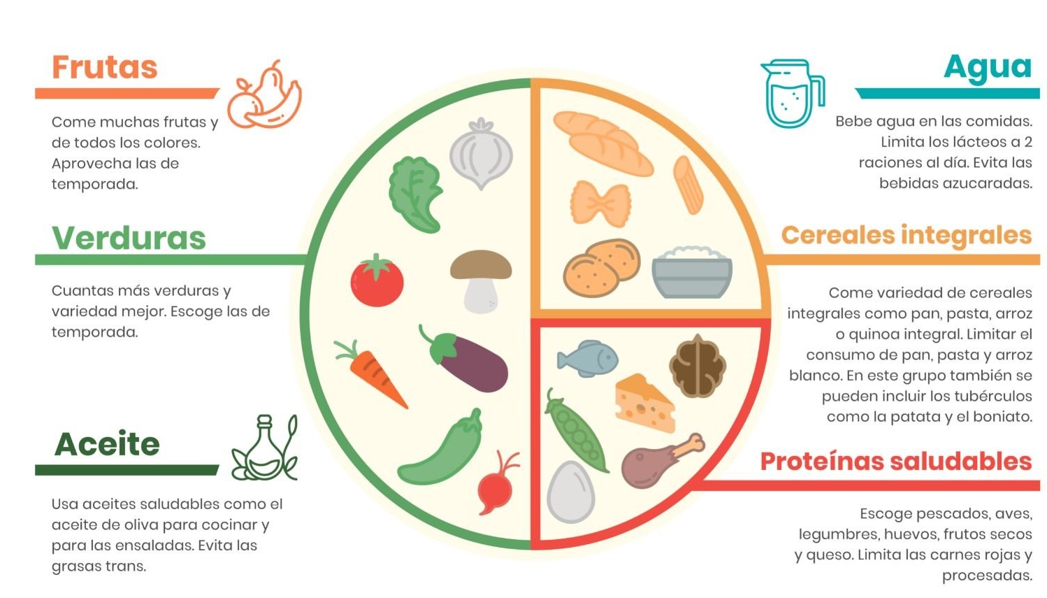 Guía visual del plato Harvard con vegetales, cereales integrales y proteínas saludables
